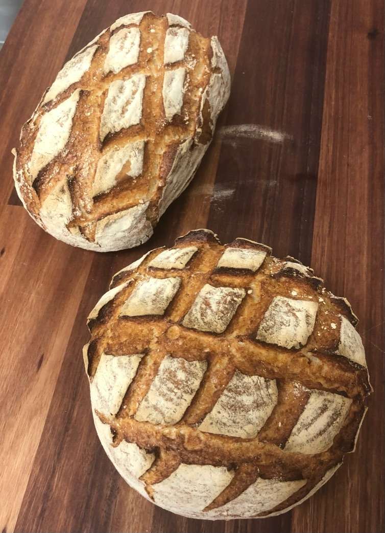Wholemeal Full Sour Farmers Loaf Breads & Rolls New Zealand